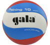 Volejbalový míč GALA Training 10 BV 5561 S