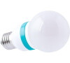 LED ŽÁROVKA OBJÍMKA E27 - 30 LED (baňka) (230V) TEPLÁ BÍLÁ Forever