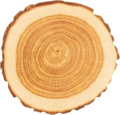 Podtácek Orion WOODEN