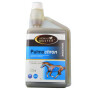 Farnam Horse Master Pulmochron 1l