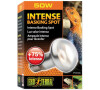 Žárovka terar. Exo Terra Intense Basking Spot 50W