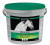 Vétoquinol Equistro Mega Base 3000g