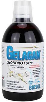 Orling Gelacan Chondro Forte Biosol 500ml