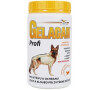 Orling Gelacan Plus Profi 500g