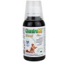 Orling Chondrocat Biosol 100ml