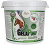 Orling Gelapony VitaMin 10,8kg