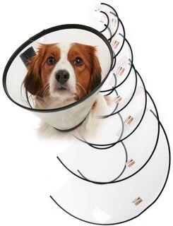 Kruuse Límec ochranný BUSTER plastový Quick Collar Set 7ks