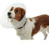 Kruuse Límec ochranný BUSTER plastový Classic Collar 10cm