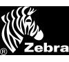 ZEBRA conversion kit k ZM400 z 203dpi na 300dpi (79806)