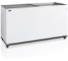 Tefcold IC 500 SC