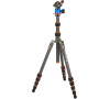 Stativ tripod 3 Legged Thing Punks Brian & AirHed Neo