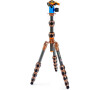 Stativ tripod 3 Legged Thing Pro 2.0 Leo & AirHed Pro LV bronzový