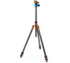 Stativ tripod 3 Legged Thing Pro 2.0 Winston & AirHed Pro bronzový