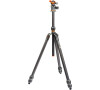 Stativ tripod 3 Legged Thing Pro 2.0 Winston & AirHed Pro šedý
