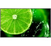 49" LED NEC E498,3840x2160,IPS,16/7,350cd (60005052)