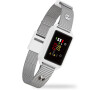 Patpet B800