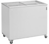 TEFCOLD IC 300 SC