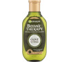 Šampon Garnier Botanic Therapy, 250 ml
