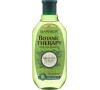 Šampon Garnier Botanic Therapy Green Tea, 400 ml (Eucalyptus & Citrus)