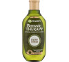 Šampon Garnier Botanic Therapy, 400 ml