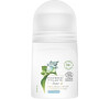 Deodorant roll-on Eukalyptus Powered by Plants Eucalyptus (24H Deodorant) 50 ml Dove