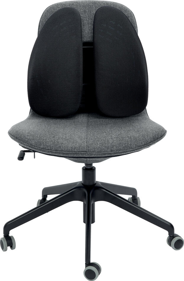 Kensington Opěrka zad SmartFit® Conform (K60412WW)