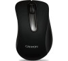 CANYON drátová USB myš s 3 tlačítky, 800 dpi, černá (CNE-CMS2)