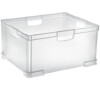Box s rukojetí Aurora, 51L, transparent Tontarelli