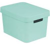Úložný box INFINITY 17l s víkem mint CURVER