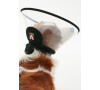 Kruuse Límec ochranný BUSTER plastový Complete Collar 10cm