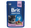 Brit Premium Cat kapsa White Fish for Kitten 100g