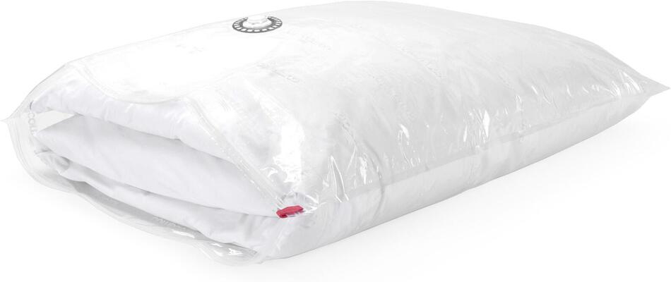 Sada 10 ks vakuových úložných sáčků Compactor Bag Aspispace L 120 litrů, 80 x 100 cm
