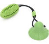 Reedog Pet Molar green