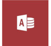 Access 2019 OLP NL (077-07233)