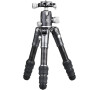 Benro Bat 03C + VX20