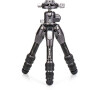 Benro Tortoise 03C + GX25