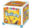 Společenská hra ADC Blackfire BrainBox CZ - zvířata