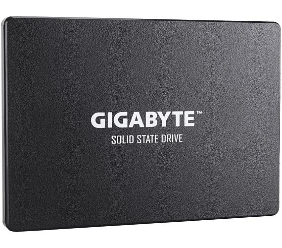 Gigabyte SSD / 256GB / SSD / 2.5" / SATA / 3R (GP-GSTFS31256GTND)