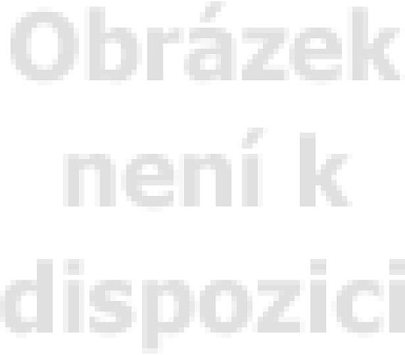SIEMENS LI63LA525 + DOPRAVA ZDARMA