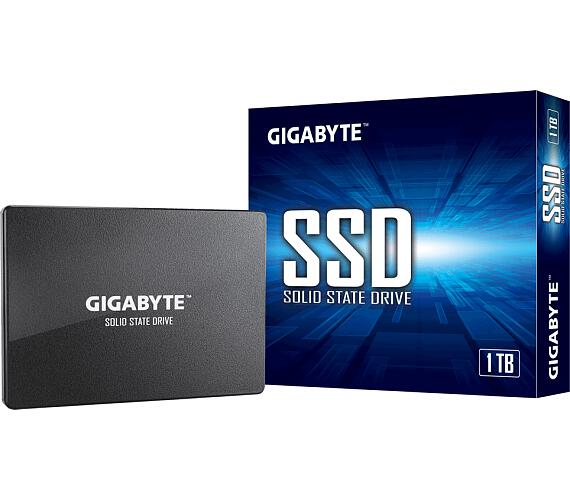 Gigabyte GIGABYTE SSD 1TB (GP-GSTFS31100TNTD)