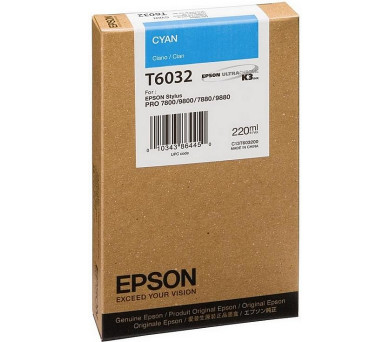 Epson T603200