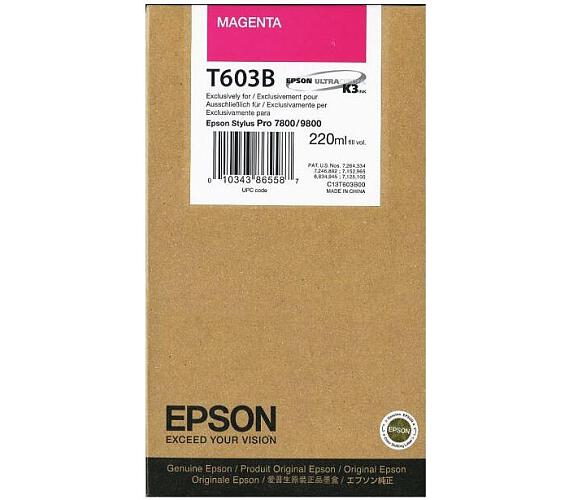 Epson T603B00