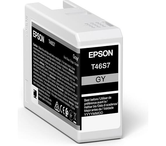 Epson Singlepack Gray T46S7 Ultrachrome (C13T46S700)