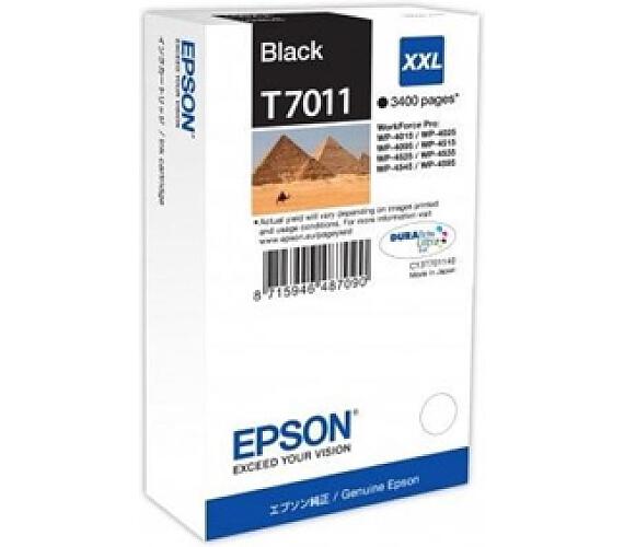 Epson T70114010