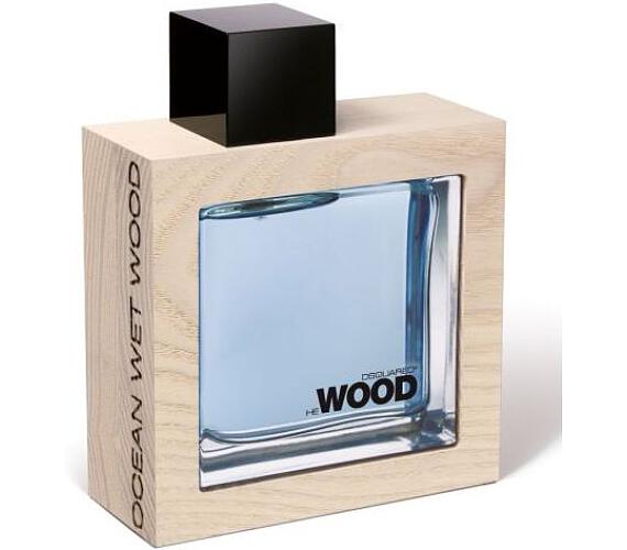 Alternativy k Dsquared2 He Wood Ocean Wet Wood toaletní voda 100 ml pro ...