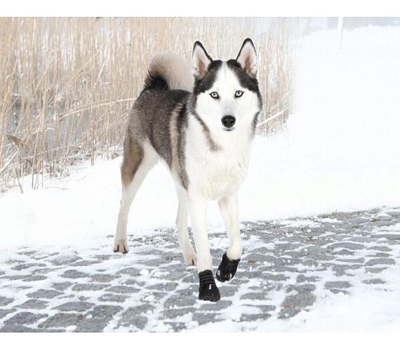 Botička ochranná Walker neopren Active L-XL 2ks TR