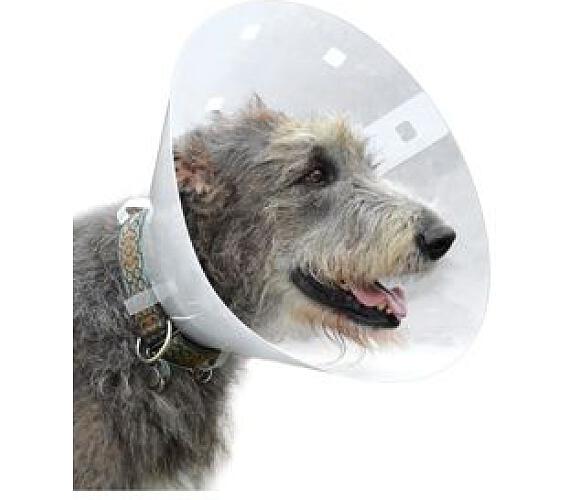 Henry schein dog store cone