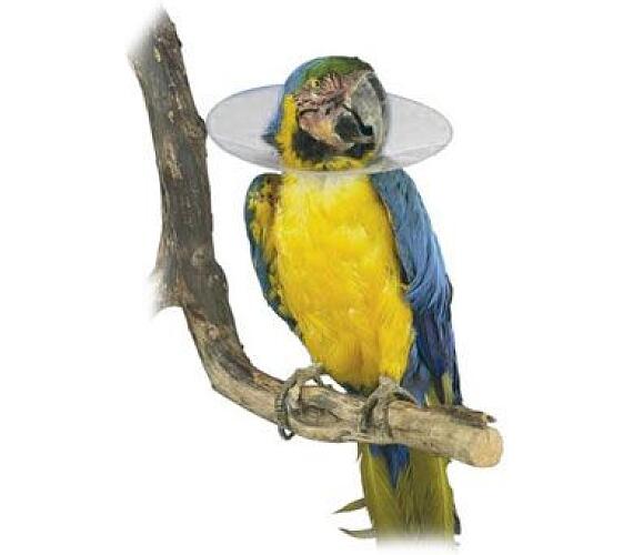 Kruuse Límec ochranný plastový Bird Collar pro ptáky 20cm