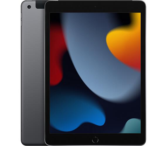 Apple iPad / WiFi+Cell / 10,2" / 2160x1620 / 256GB / iPadOS15 / Gray (MK4E3FD/A)