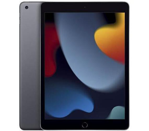 Apple iPad / WiFi / 10,2" / 2160x1620 / 256GB / iPadOS15 / Gray (MK2N3FD/A)